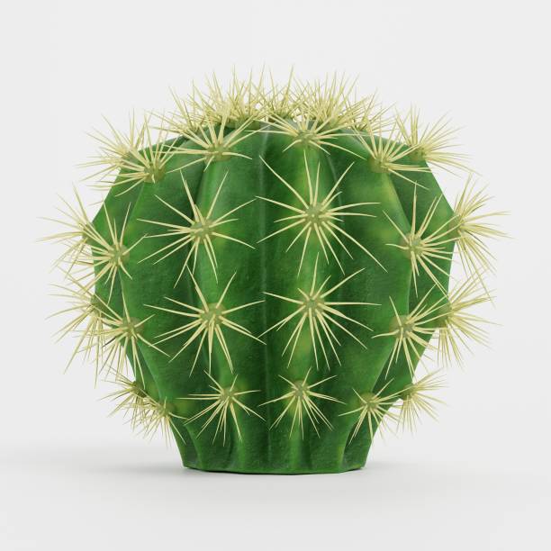 istock Realistic 3D Render of Golden Barrel Cactus 1832979986