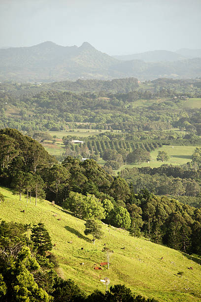 Byron Bay Hinterland "The hinterland hills behind Byron Bay, Australia with Mount Chincogan near Mullumbimby" byron bay stock pictures, royalty-free photos & images