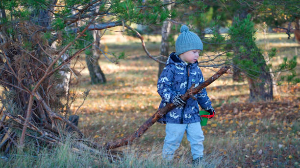 un niño recoge ramas caídas en el bosque otoñal y las pone en una pila - children only tree area exploration freshness fotografías e imágenes de stock