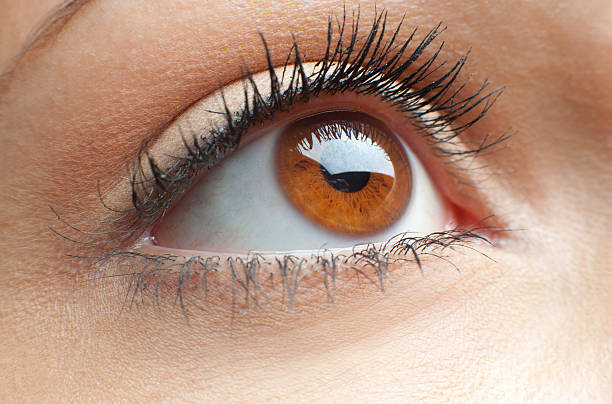 istock Close up of a womans brown eye 183298604