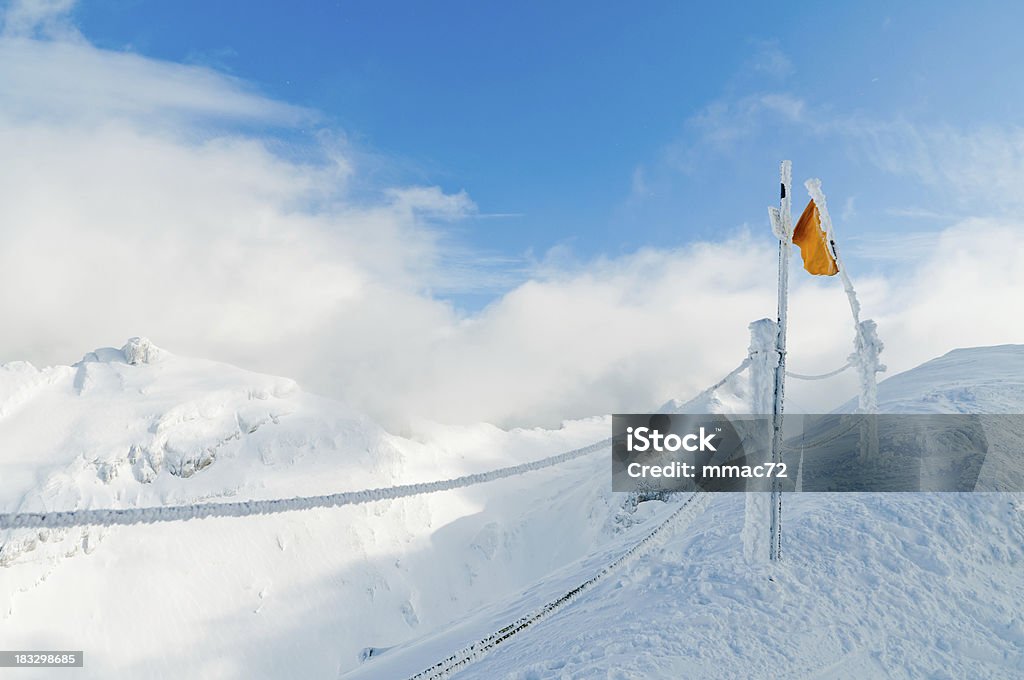 Zimowy pejzaż z Flaga zamrożone - Zbiór zdjęć royalty-free (Alpy)