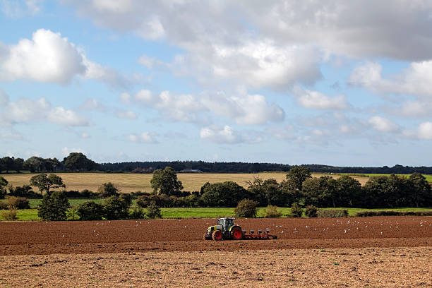 ploughing y gaviotas - tractor farm uk agriculture fotografías e imágenes de stock