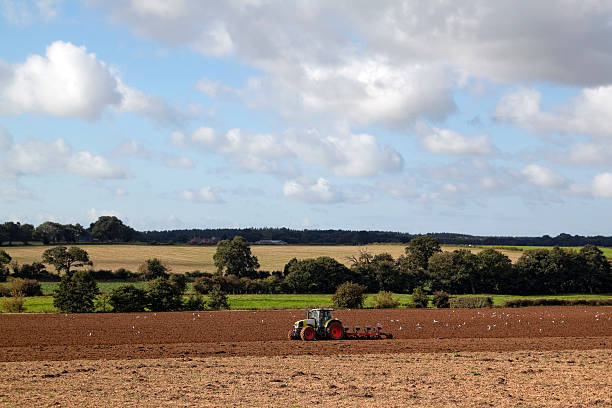 の孤独な道でした、とかもめ - tractor farm uk agriculture ストックフォトと画像