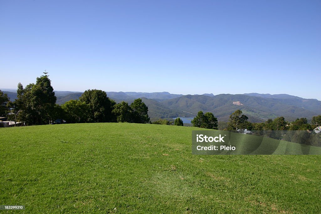 grassy knoll with tree and mountain views grassy knoll with mountain views Agricultural Field Stock Photo