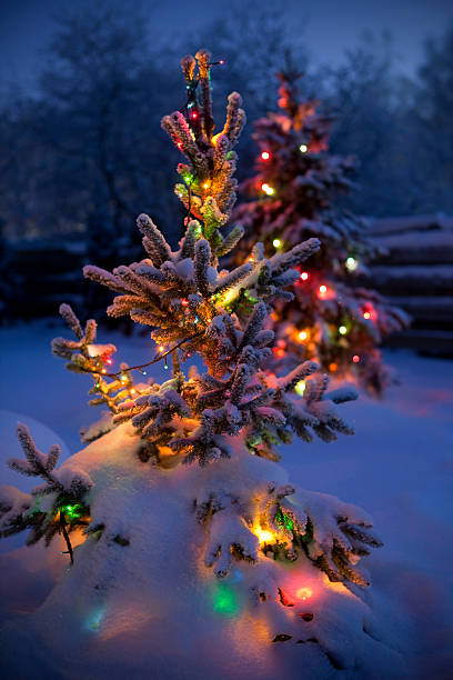 istock Christmas trees with fresh and fluffy snow 183299481