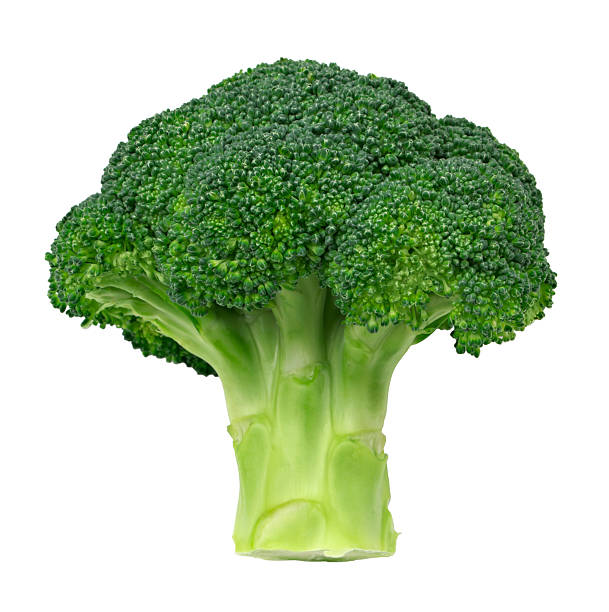 Broccoli Fresh broccoli isolated on white background. broccoli stock pictures, royalty-free photos & images