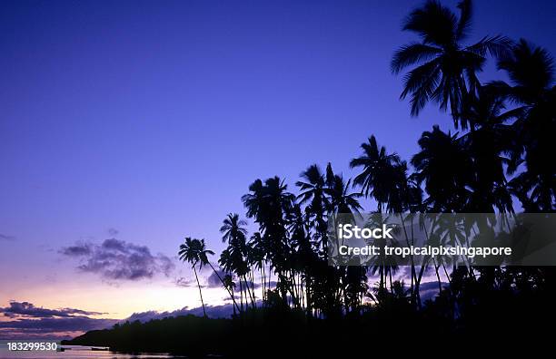 Usa Hawai Molokai Kapuaiwa Coconut Grove De La Puesta Del Sol Foto de stock y más banco de imágenes de Molokai