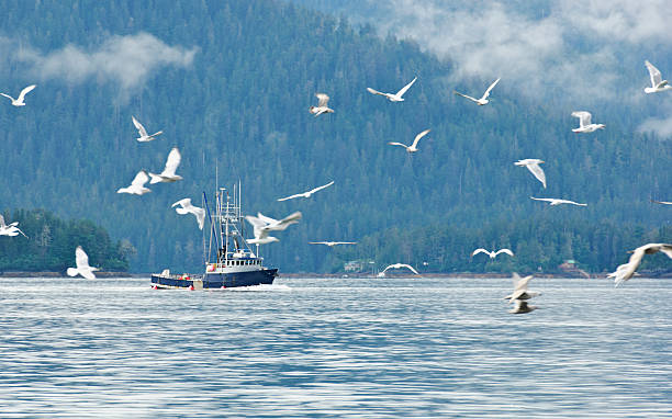 istock lone fishing boat 183299596