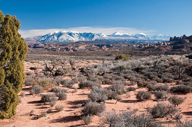 Late Afternoon in Arches National Park