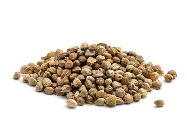 Hemp Seeds stock photo