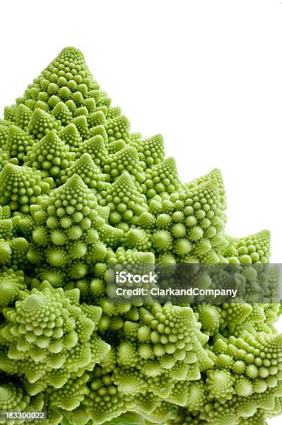 Foto de Romanesco Brócolis Isolado Contra Branco e mais fotos de stock de Couve-flor romanesco - Couve-flor romanesco, Alimentação Saudável, Brócolis