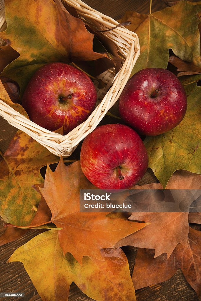Herbst Blätter und Äpfeln - Lizenzfrei Apfel Stock-Foto