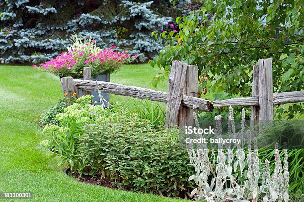 Garten Mit Sprossenzaun Stockfoto und mehr Bilder von Baum - Baum, Birke, Blaufichte