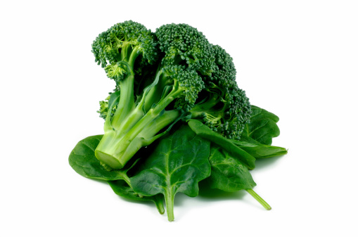 Collection of fresh green broccoli isolated on white background