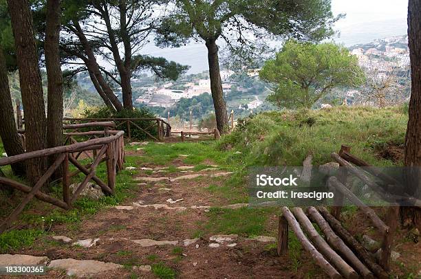 Massa Lubrense Viewpoin San Costanzocosta Sorrentina - Fotografie stock e altre immagini di Albero