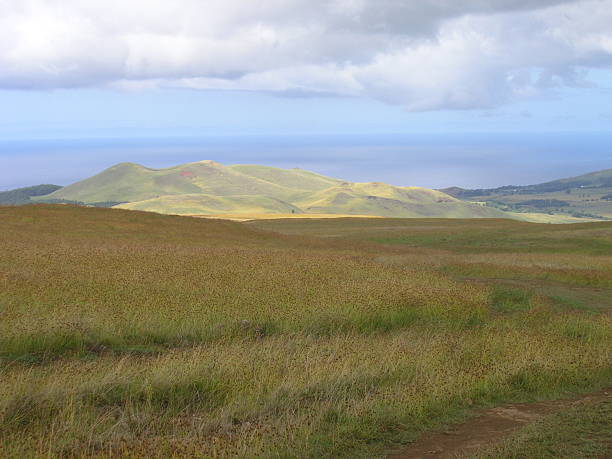 istock Hills of Easter Island 183300420