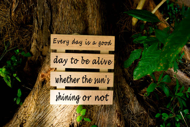 istock Motivational quote on wooden frame laying the tree log 1833004747