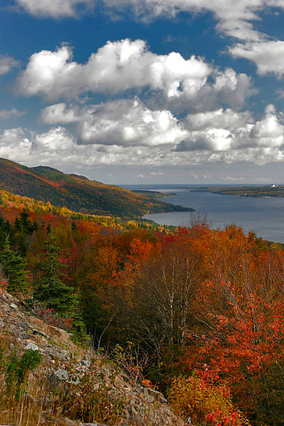 istock New Harris Forks (Vert), Cape Breton 183300506