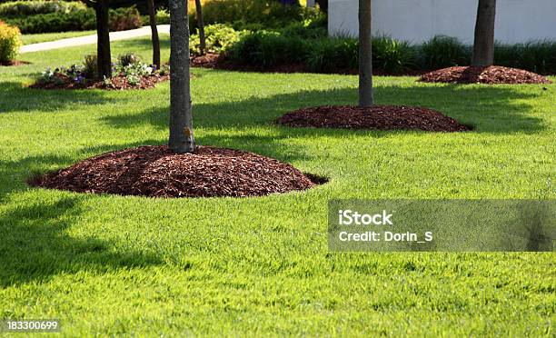 Perfekte Lawn Stockfoto und mehr Bilder von Baum - Baum, Fotografie, Frühling