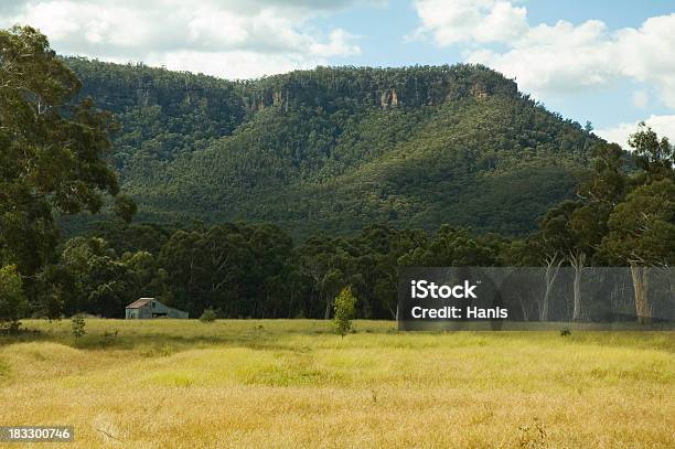Foto de Coutryside Australiano e mais fotos de stock de Agricultura - Agricultura, Arte, Cultura e Espetáculo, Austrália