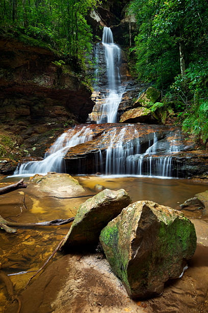 istock Rainforest waterfalls, Empress Falls, Blue Mountains, New South Wales, Australia 183301107