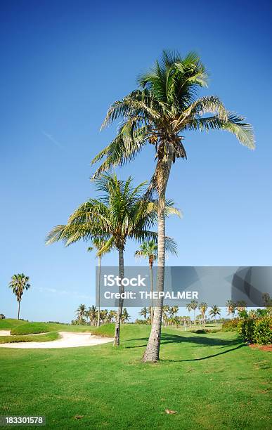 Golf Club Und Palmen Stockfoto und mehr Bilder von Golf - Golf, Miami, Ausschluss