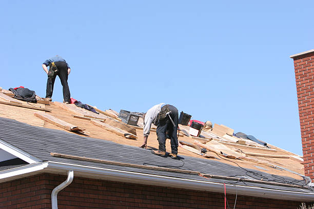 Getting a new roof.  clad stock pictures, royalty-free photos & images