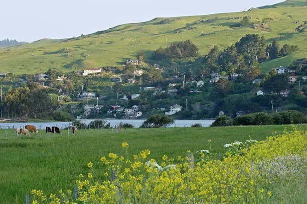"Springtime view of the village of Jenner (Sonoma county, California)."