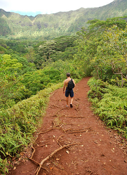 istock Young Man Hiking in Hawaii 183302928