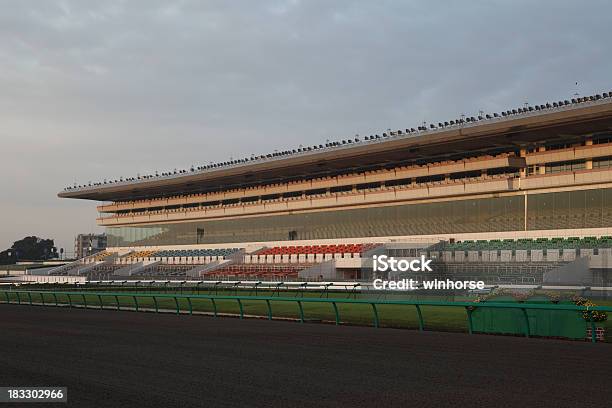 Turf And Dirt Track Stock Photo - Download Image Now - Horseracing Track, Horse Racing, Sports Track