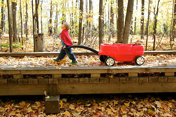 istock Boy on a walk with his friend 183303187