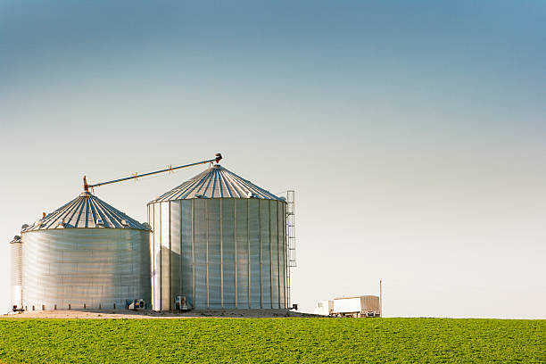 Grain Silo Bins and Truck in Farm Field Agricultural Landscape Horizontal rural landscape showing two metal grain bins with a green farm field in the foreground and a semi truck next to the bins, ready to load cereal plant harvest for the agricultural industry. It’s a bright, sunny day with a clear blue sky in the Midwest, U.S.A. silo photos stock pictures, royalty-free photos & images