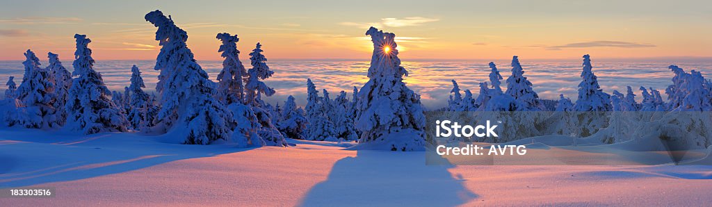 Invierno, nieve al amanecer en las montañas cubiertas de selva por encima de las nubes - Foto de stock de Abeto libre de derechos