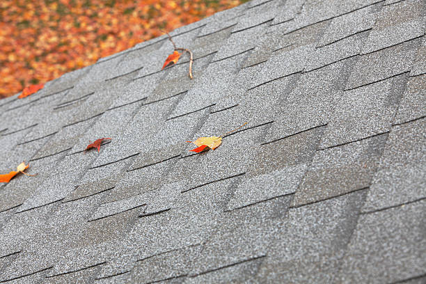 istock Autumn Leaves On a Shingled Roof 183303560