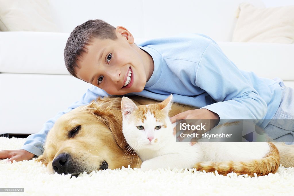 Amor do jovem rapaz para o seu cão e um gato - Royalty-free Cão Foto de stock