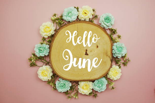 istock Hello June typography text decorate with flower on pink background 1833044430