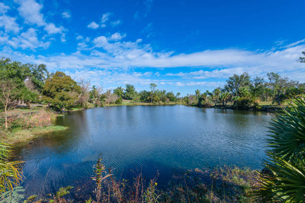 Tranquil reflections on the shores of Lake Caroline in Panama City, Florida, where the vibrant green foliage meets the serene blue sky, creating a picturesque lakeside haven.