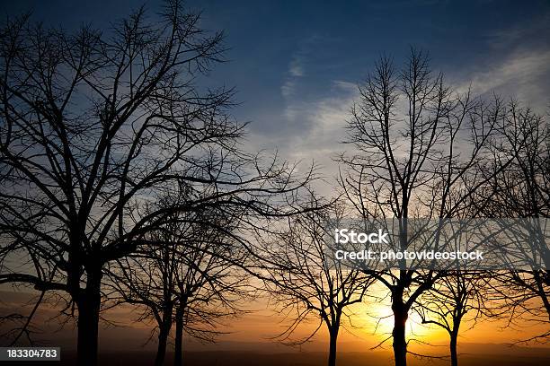 Солнце Фильтрация За Деревьями Красивую Панораму — стоковые фотографии и другие картинки Без людей - Без людей, Бог, Горизонтальный