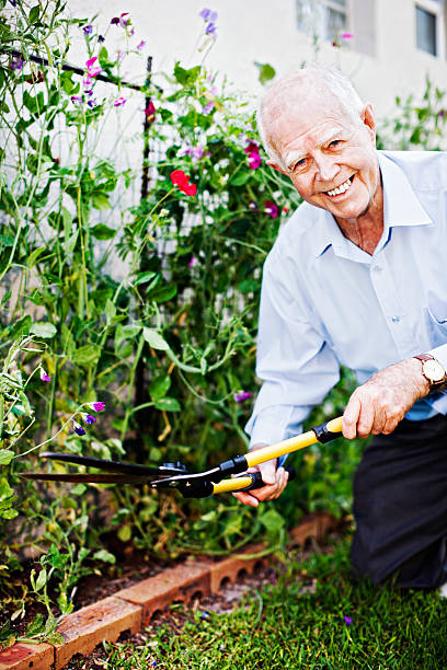 istock Fitness in old age - elderly man gardens, smiling 183304805