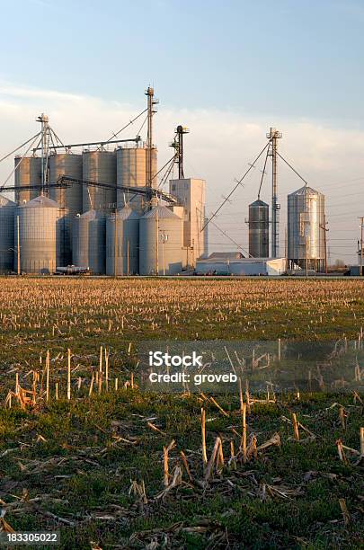 Środkowozachodnie Elewator Zbożowy - zdjęcia stockowe i więcej obrazów Krajobraz wiejski - Krajobraz wiejski, Społeczność, Stan Iowa