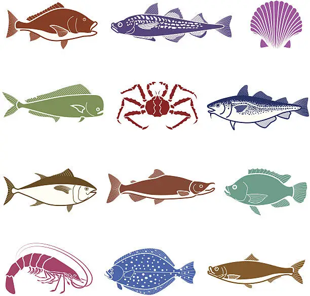 Vector illustration of sea life icon set