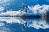 Winter reflections