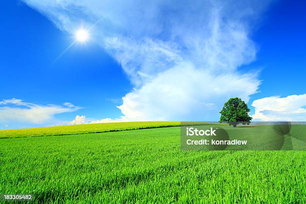 Paisagem Verde - Fotografias de stock e mais imagens de Agricultura - Agricultura, Ajardinado, Ao Ar Livre