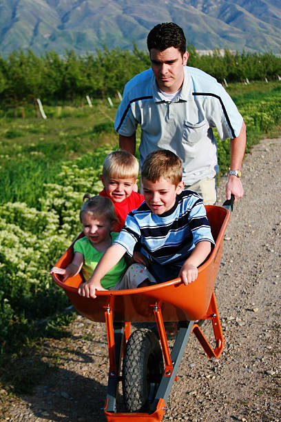 família carrinho de mão passeio - wheelbarrow playing sibling rural scene - fotografias e filmes do acervo