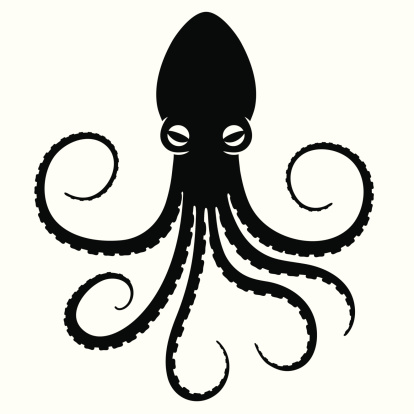 vector illustration of octopus symbol