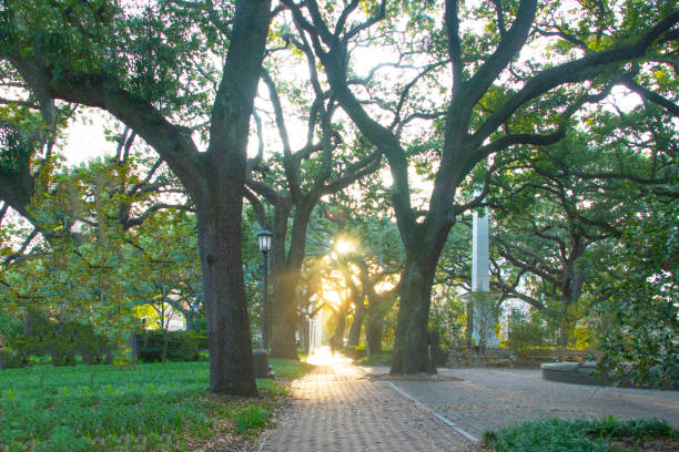 istock Savanah Historic District Park at sunrise- Savannah, Georgia 1833108336