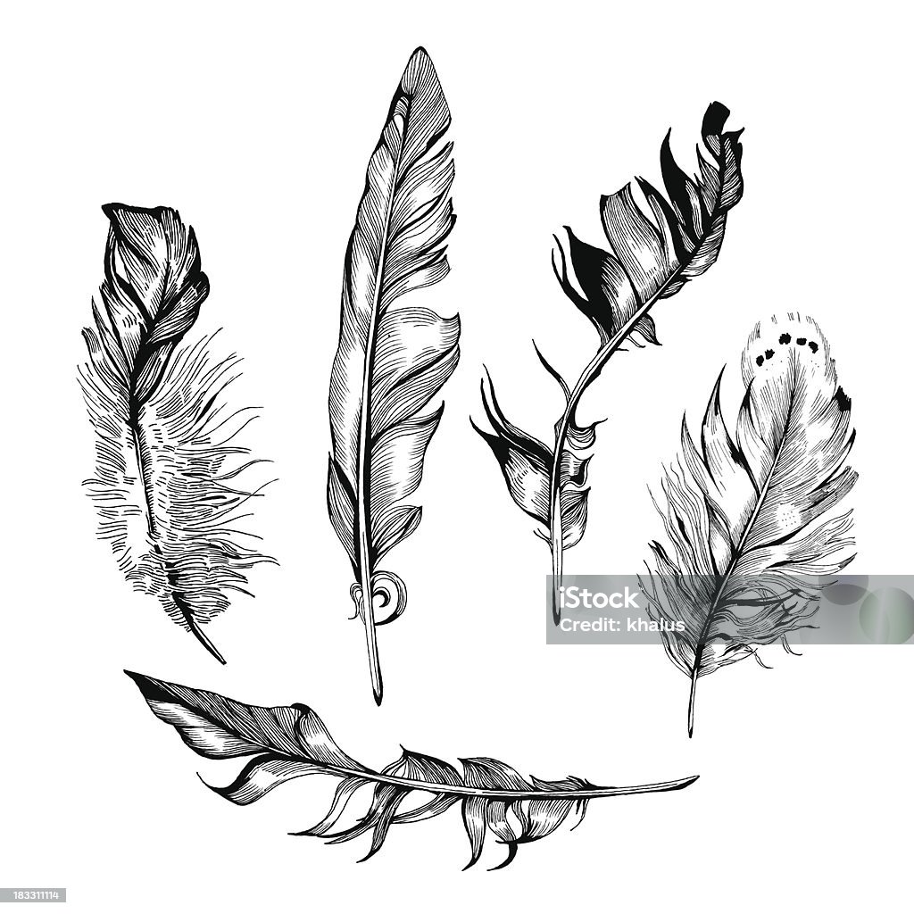 feather set Vector Detailed Hand-Drawn Illustrations of Feathers in Black&White style. Each of the Feathers is isolated object (eps 8). Art Product stock vector