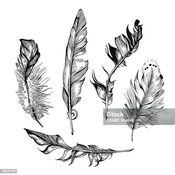 Feather Set Stock Illustration - Download Image Now - Art Product, Author, Backgrounds