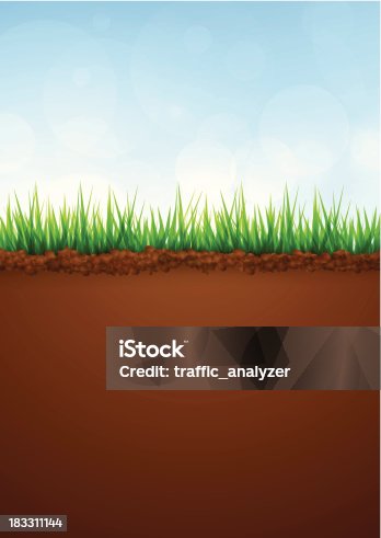 istock Green grass and soil 183311144