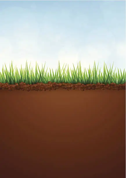 Vector illustration of Green grass and soil